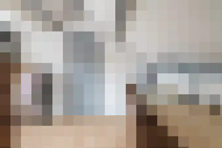 Vossenburcht 8 Hurdegaryp thumbnail 46