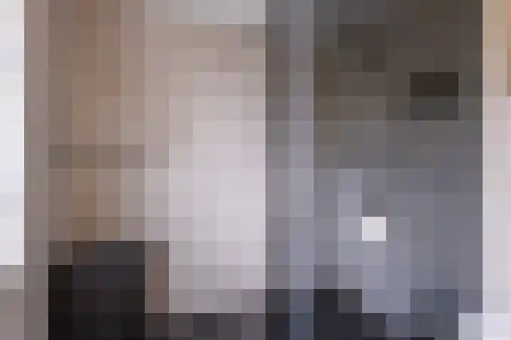 Vossenburcht 8 Hurdegaryp thumbnail 52