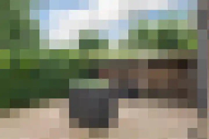 Vossenburcht 8 Hurdegaryp thumbnail 56