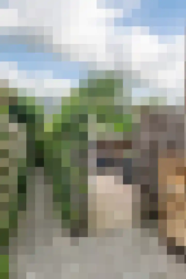 Vossenburcht 8 Hurdegaryp thumbnail 57