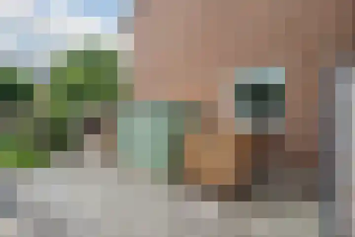 Vossenburcht 8 Hurdegaryp thumbnail 58