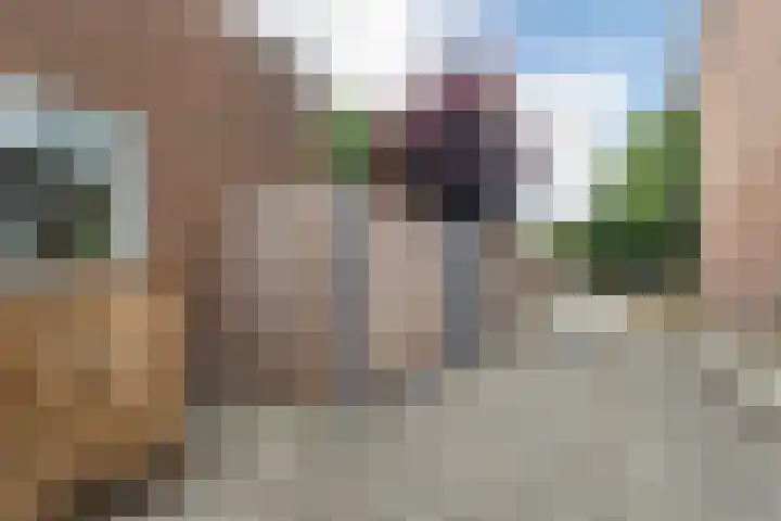 Vossenburcht 8 Hurdegaryp thumbnail 59