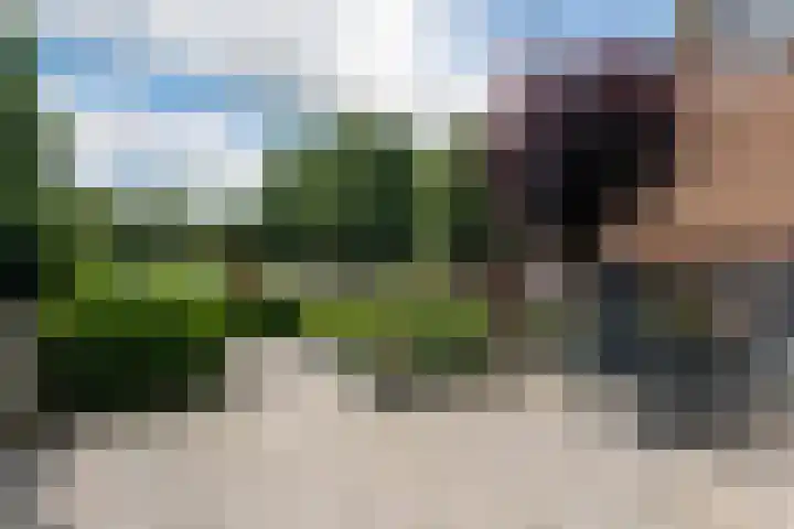 Vossenburcht 8 Hurdegaryp thumbnail 6