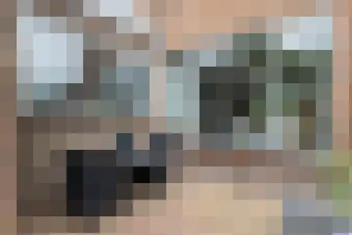 Vossenburcht 8 Hurdegaryp thumbnail 60