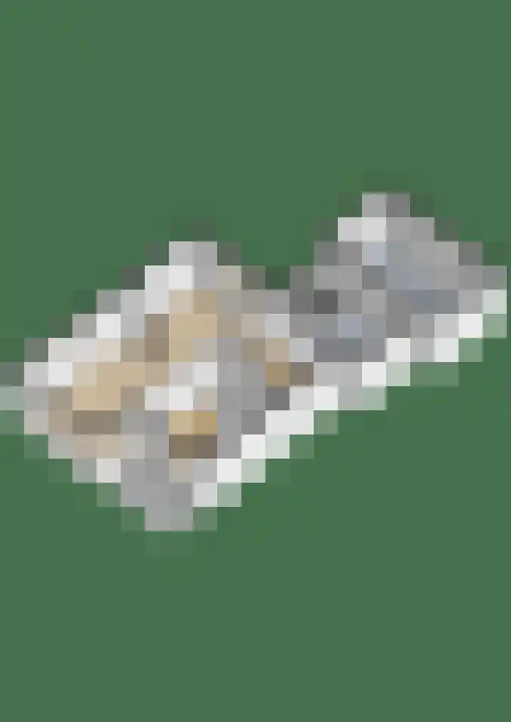 Vossenburcht 8 Hurdegaryp thumbnail 65