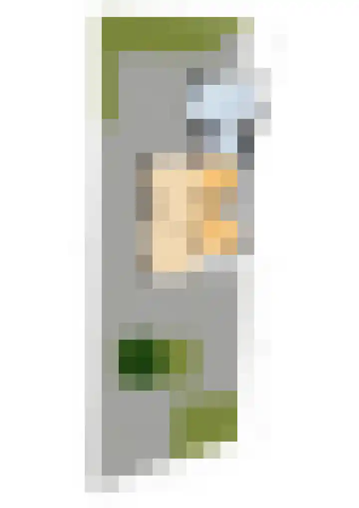 Vossenburcht 8 Hurdegaryp thumbnail 70