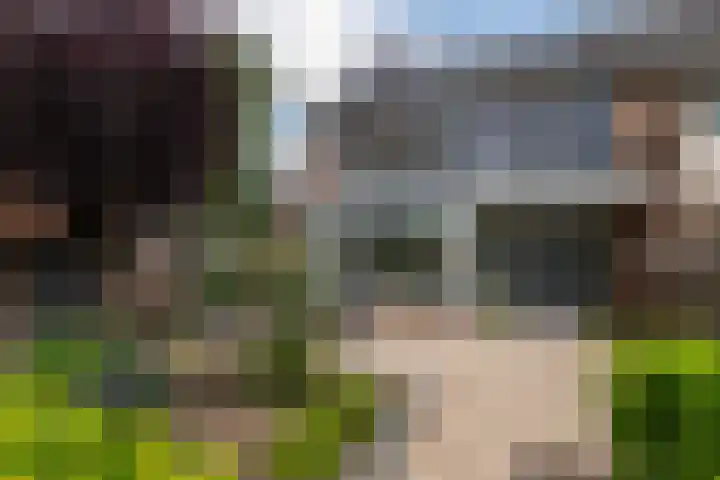 Vossenburcht 8 Hurdegaryp thumbnail 8