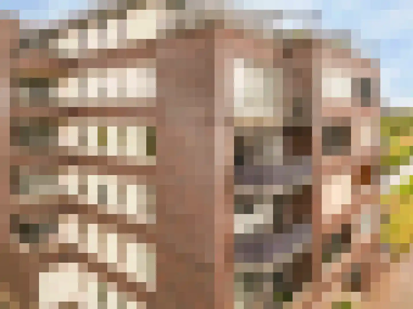 Vossenburg 88 Barendrecht thumbnail 6