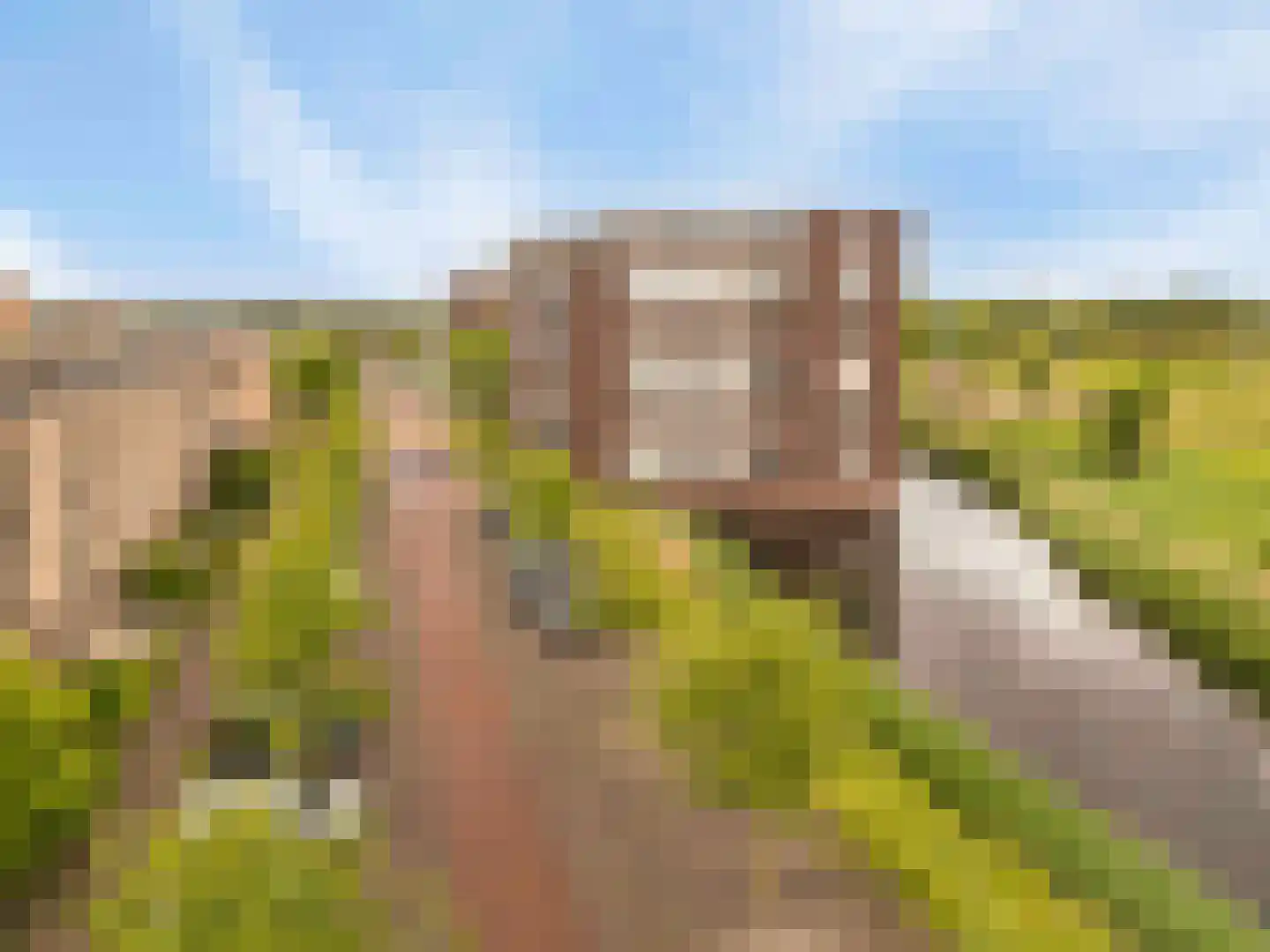 Vossenburg 88 Barendrecht thumbnail 7