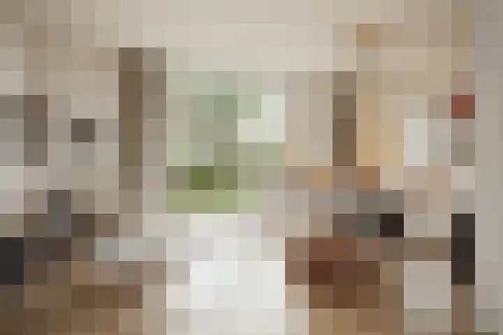 Vossenburglaan 12 Meerstad thumbnail 8