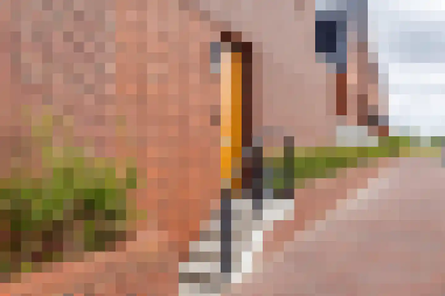 Vossenburglaan 2 Meerstad thumbnail 13