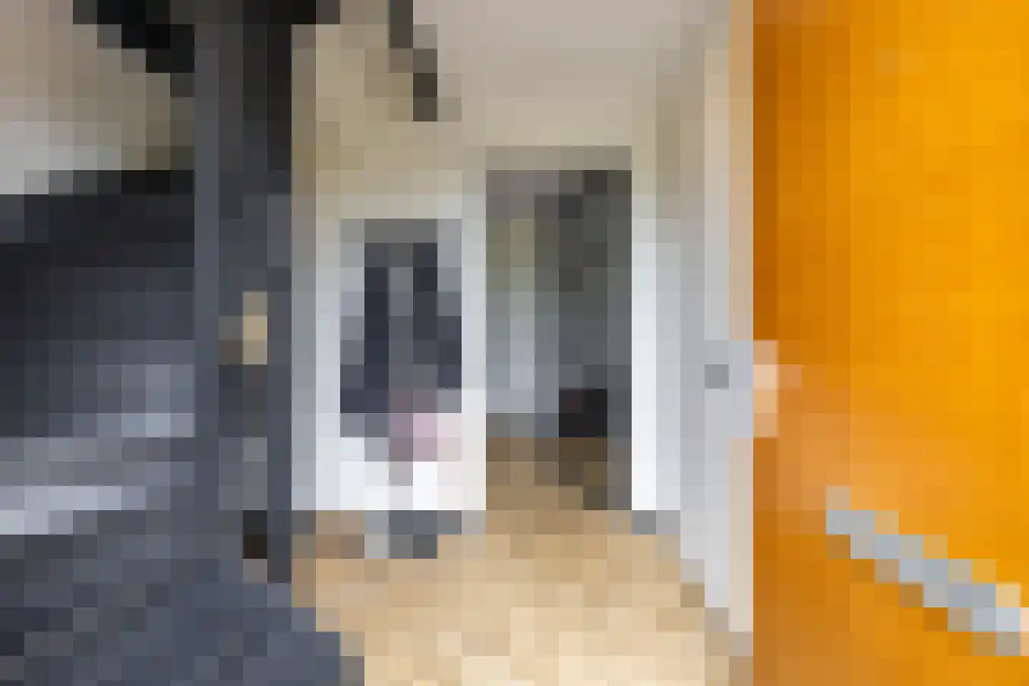 Vossenburglaan 2 Meerstad thumbnail 14