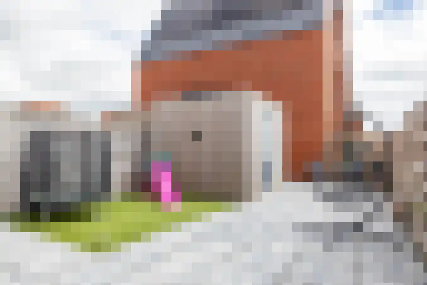Vossenburglaan 2 Meerstad thumbnail 31