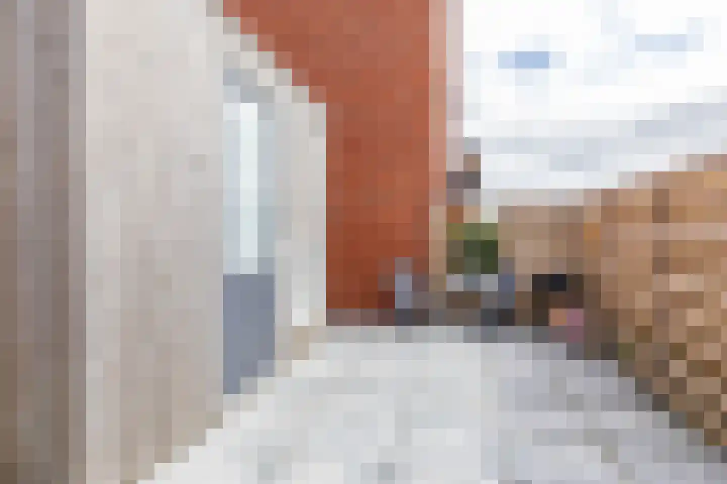 Vossenburglaan 2 Meerstad thumbnail 32