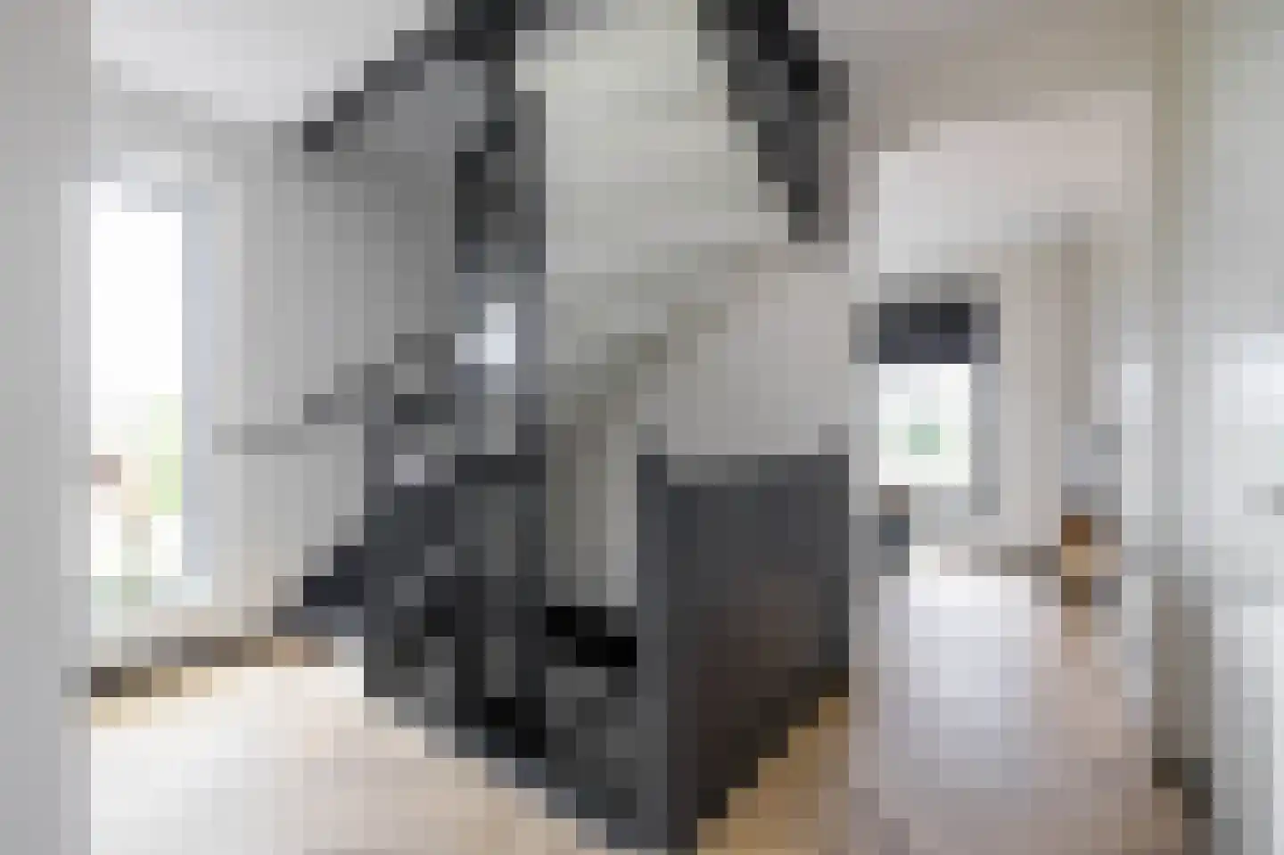 Vossenburglaan 2 Meerstad thumbnail 36