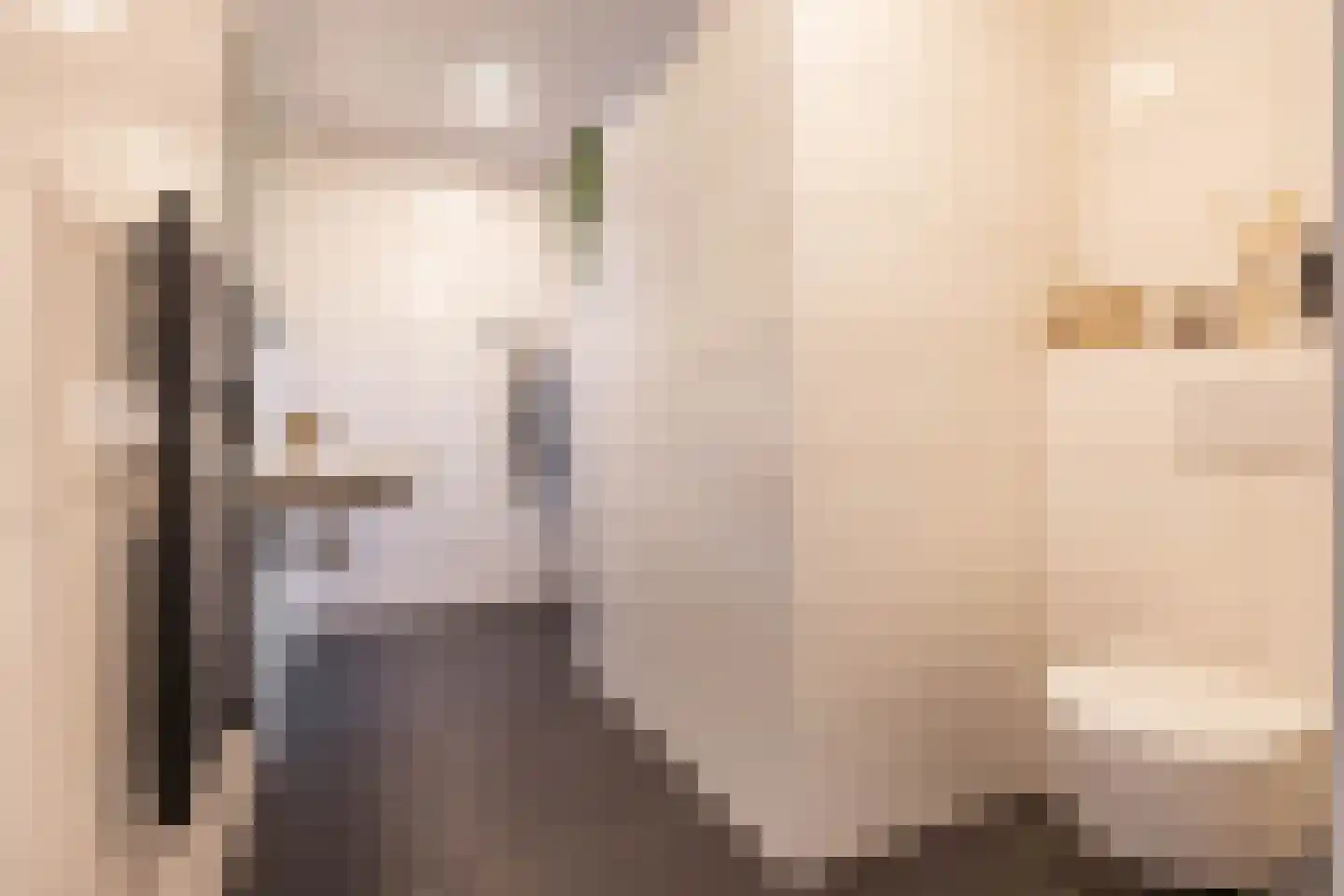 Vossenburglaan 2 Meerstad thumbnail 4