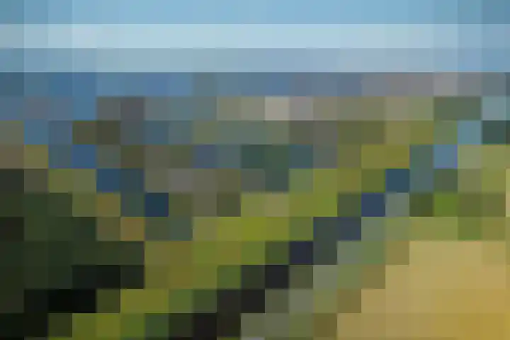 Vossenburglaan 2 Meerstad thumbnail 7