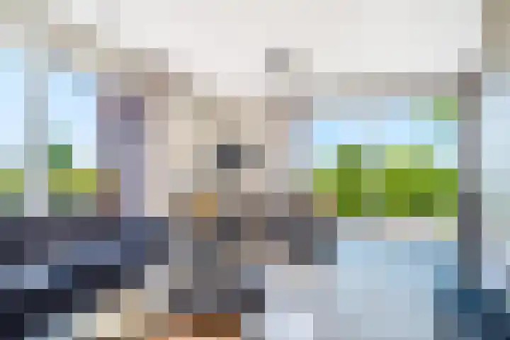 Vossenburglaan 200 Meerstad thumbnail 17