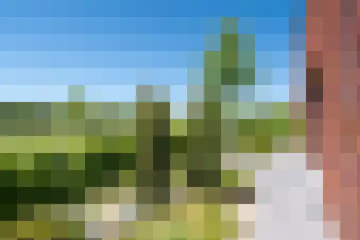 Vossenburglaan 200 Meerstad thumbnail 21