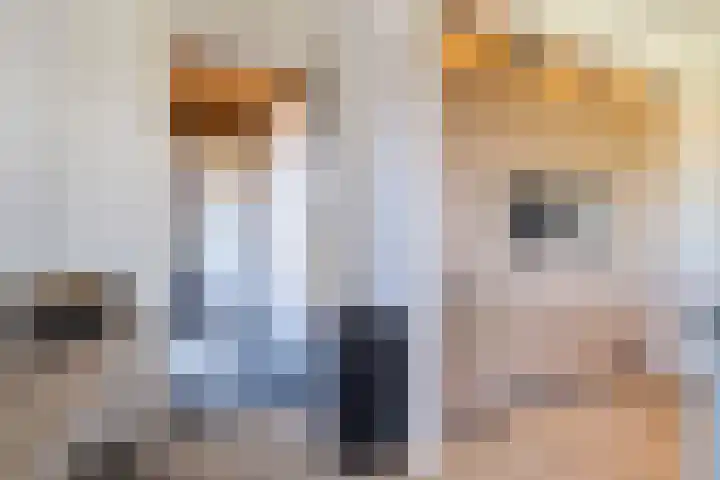 Vossenburglaan 200 Meerstad thumbnail 38