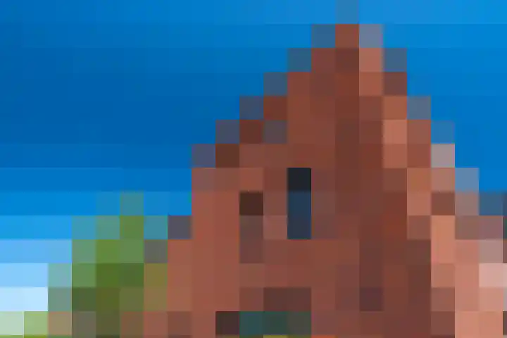 Vossenburglaan 200 Meerstad thumbnail 81