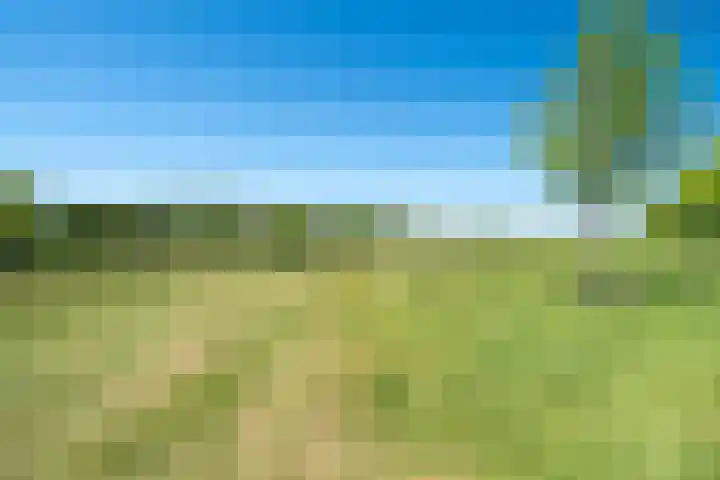 Vossenburglaan 200 Meerstad thumbnail 82