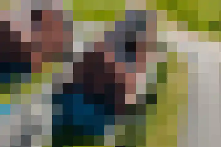 Vossenburglaan 200 Meerstad thumbnail 88