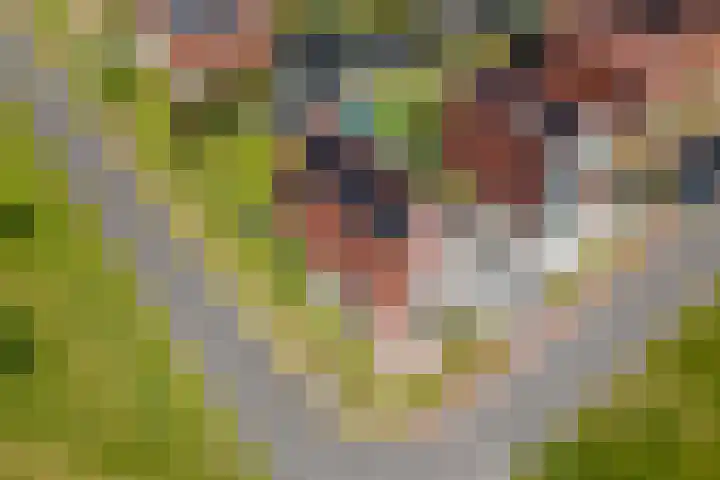Vossenburglaan 200 Meerstad thumbnail 90
