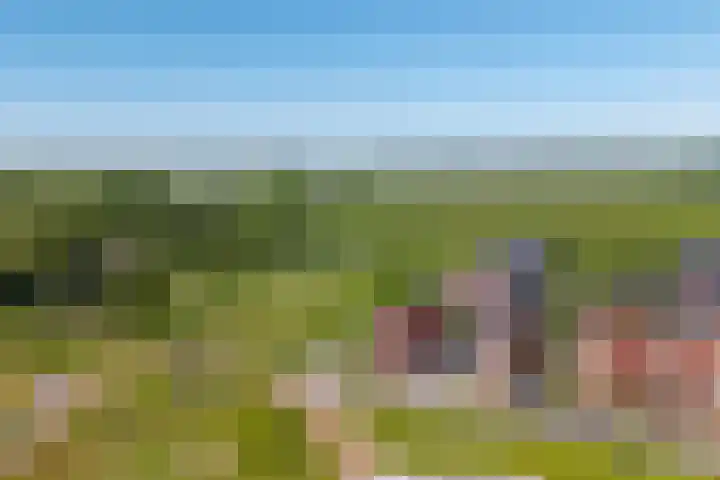 Vossenburglaan 200 Meerstad thumbnail 93