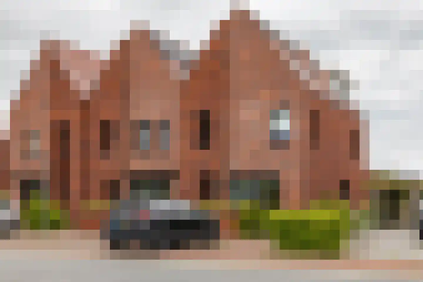 Vossenburglaan 208 dans Meerstad