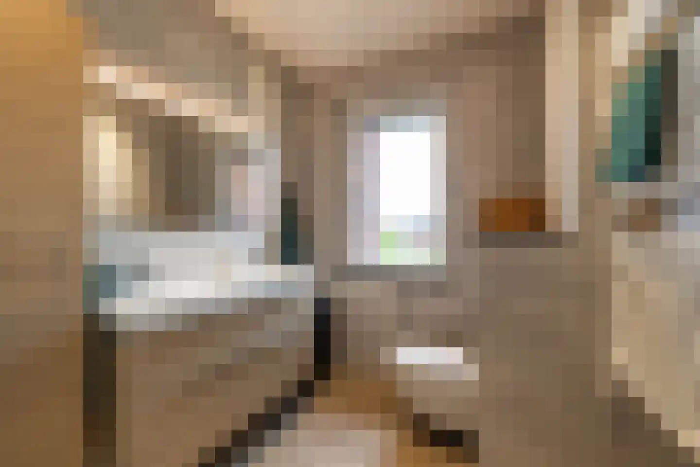 Vossenburglaan 208 Meerstad thumbnail 5