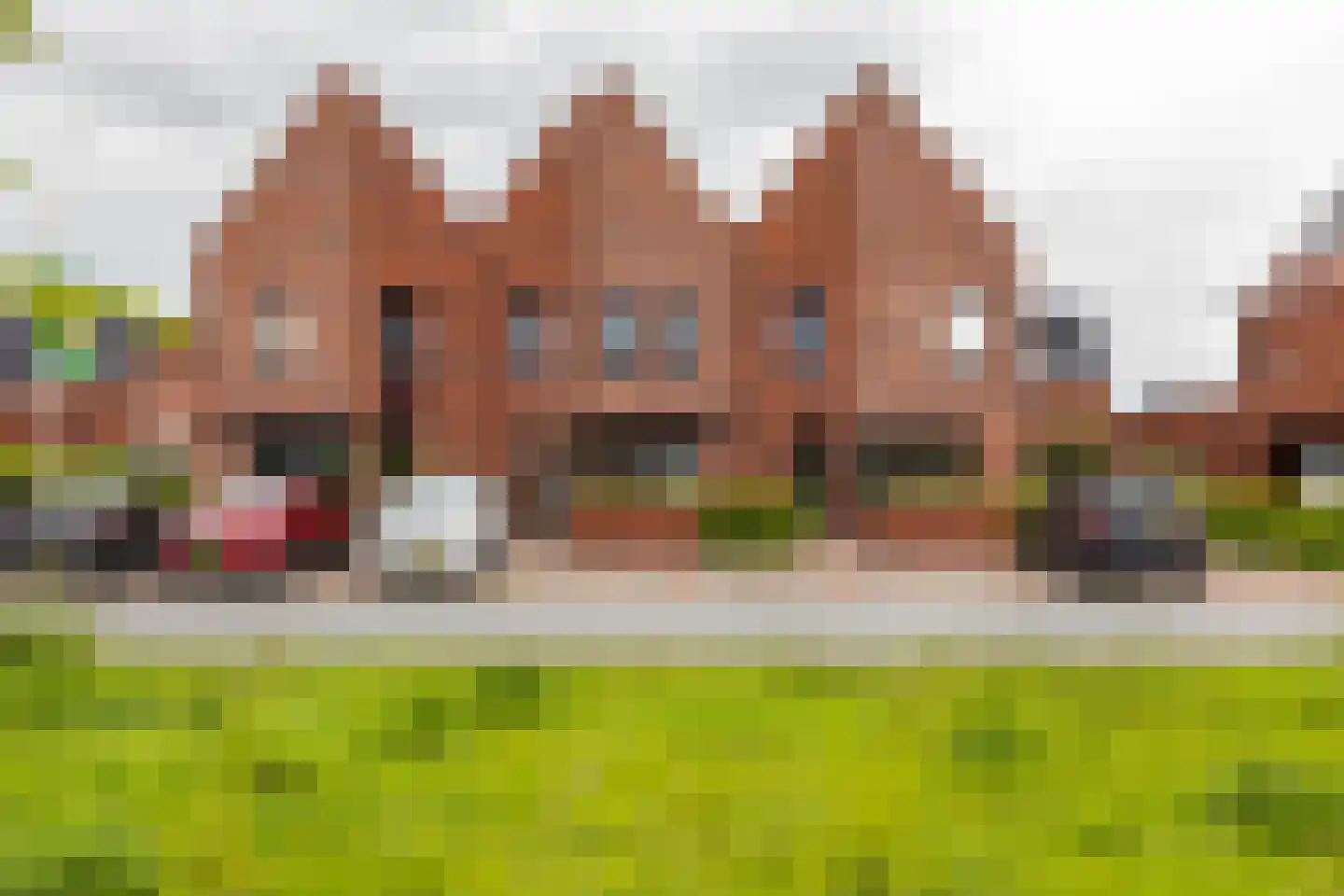Vossenburglaan 208 Meerstad thumbnail 7