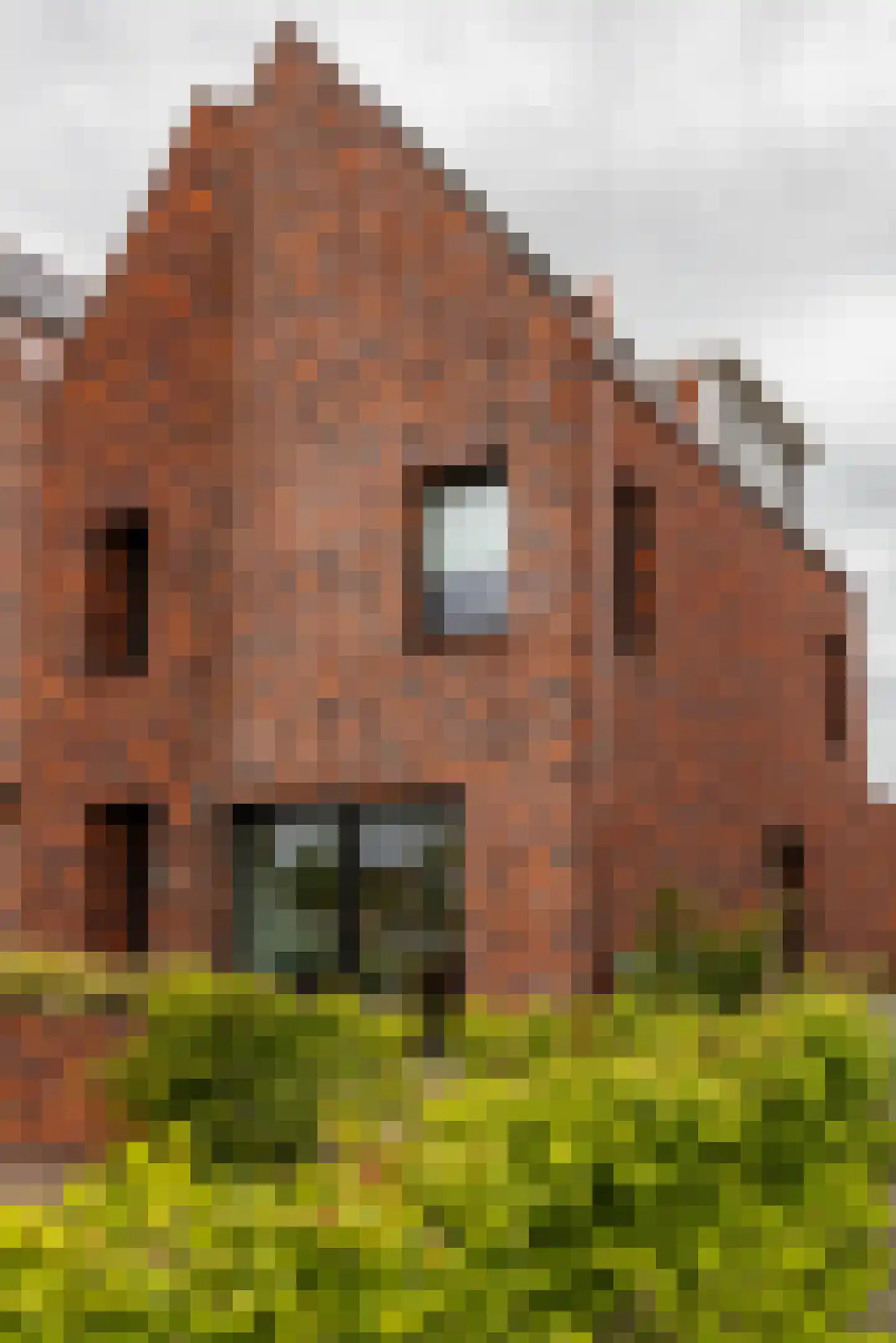 Vossenburglaan 208 Meerstad thumbnail 8