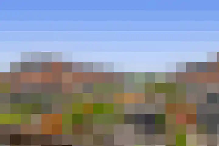 Vossenburglaan 220 Meerstad thumbnail 27