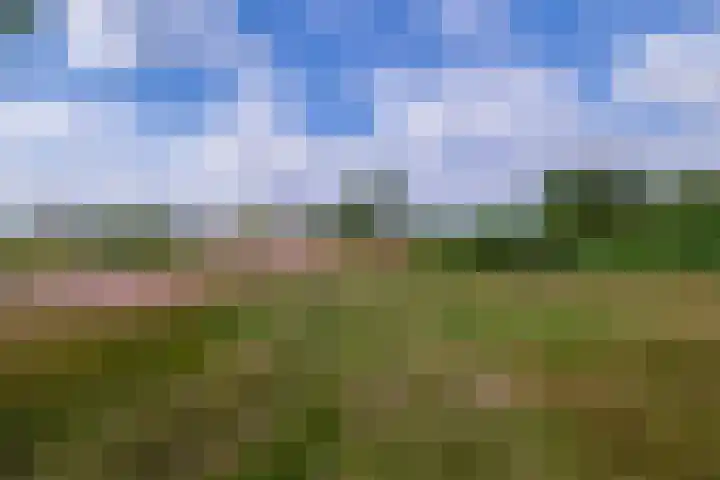 Vossenburglaan 220 Meerstad thumbnail 44