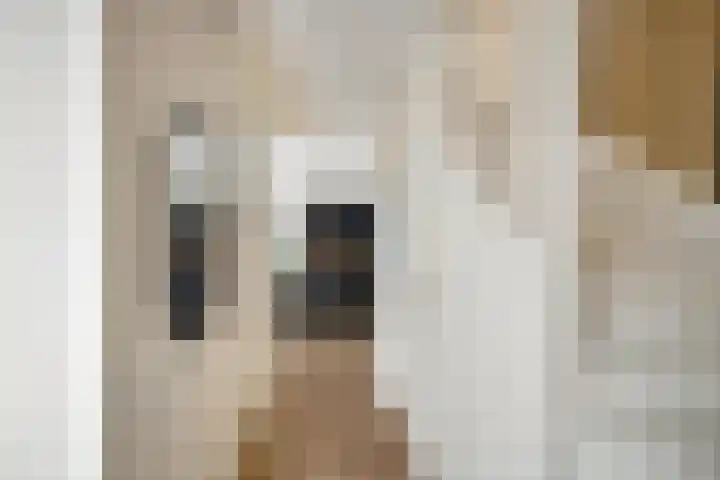 Vossenburglaan 3 Meerstad thumbnail 10