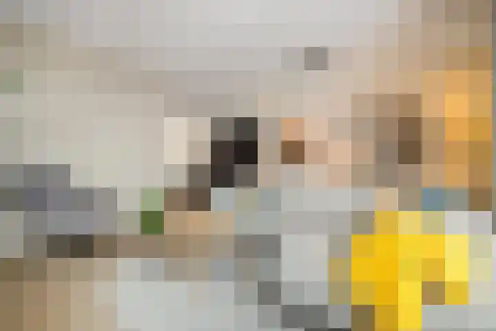 Vossenburglaan 3 Meerstad thumbnail 13