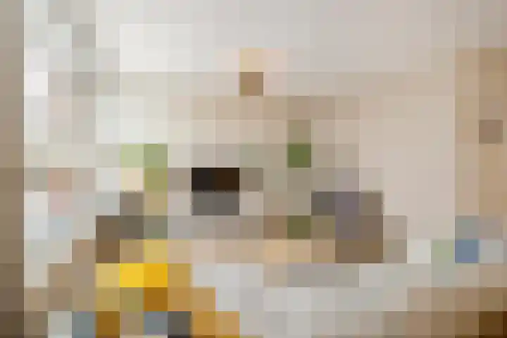 Vossenburglaan 3 Meerstad thumbnail 14