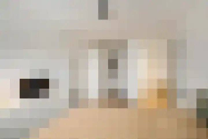 Vossenburglaan 3 Meerstad thumbnail 26