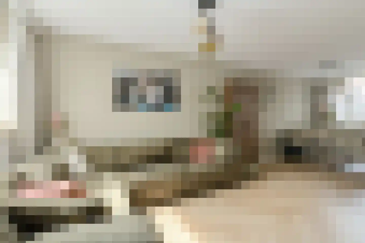 Vossendonk 2 Raamsdonksveer thumbnail 14