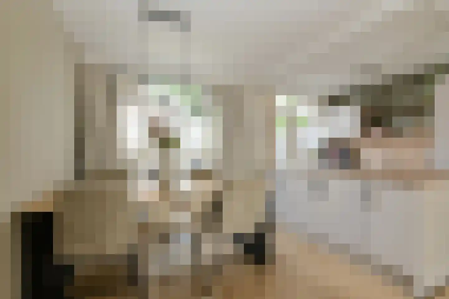Vossendonk 2 Raamsdonksveer thumbnail 17