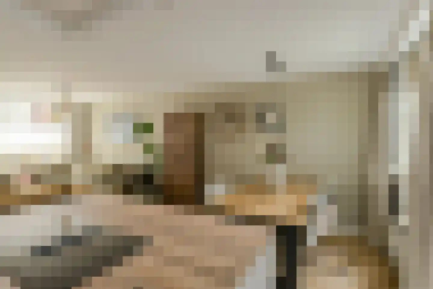 Vossendonk 2 Raamsdonksveer thumbnail 22