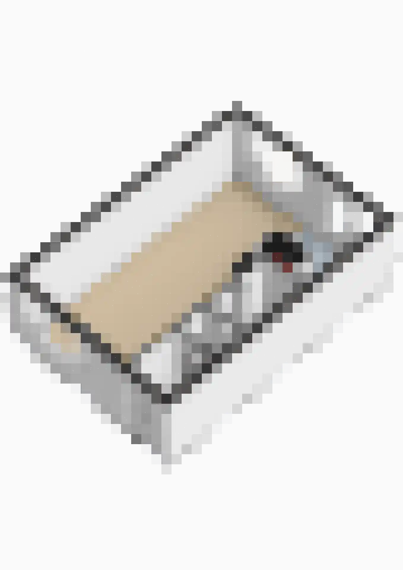 Vossendonk 2 Raamsdonksveer thumbnail 45