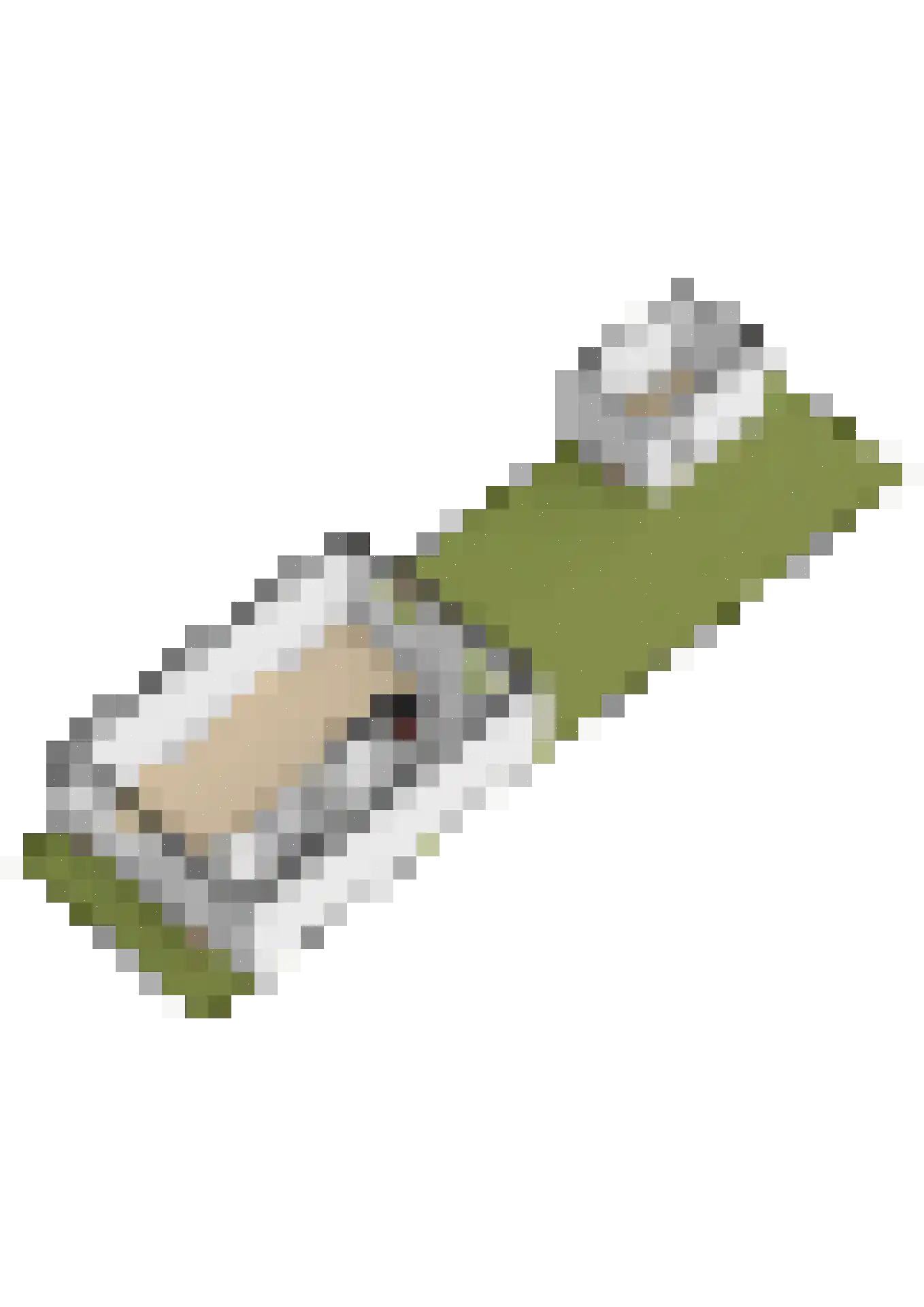 Vossendonk 2 Raamsdonksveer thumbnail 51