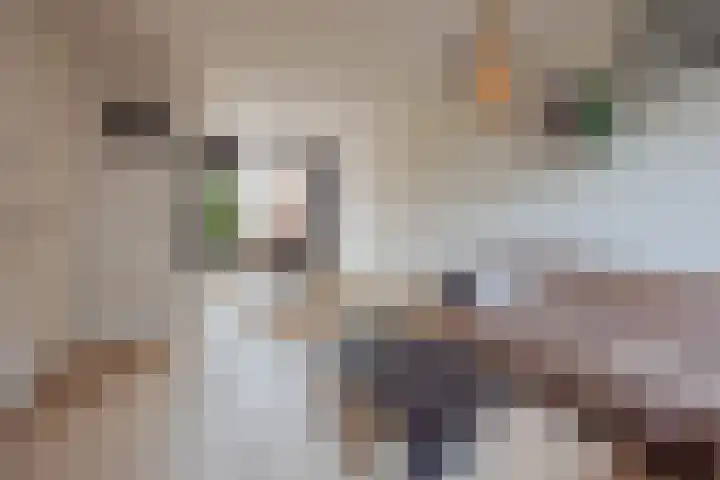 Vossendonk 22 Raamsdonksveer thumbnail 13