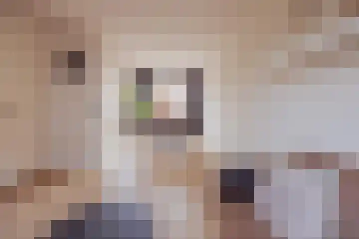 Vossendonk 22 Raamsdonksveer thumbnail 16
