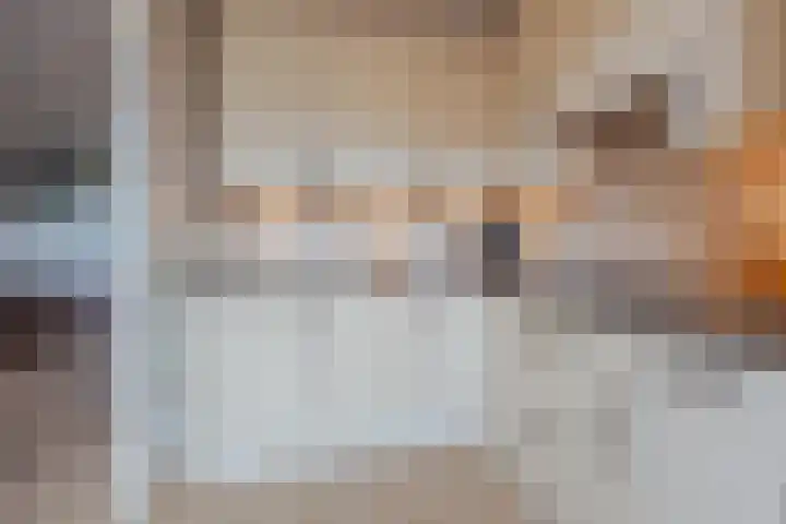 Vossendonk 22 Raamsdonksveer thumbnail 19