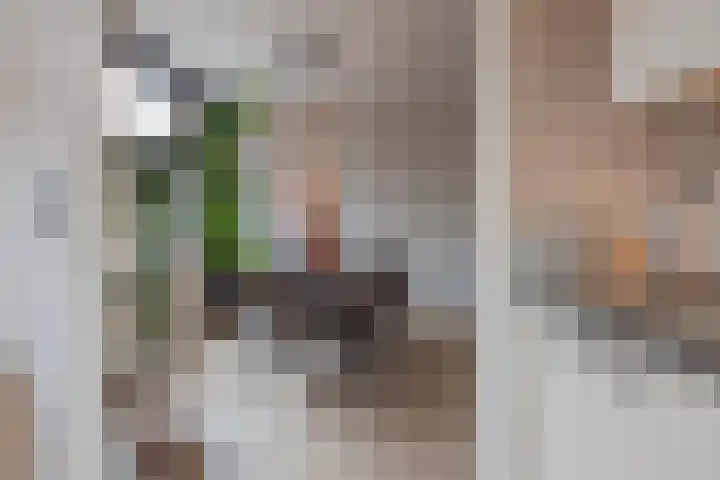 Vossendonk 22 Raamsdonksveer thumbnail 20