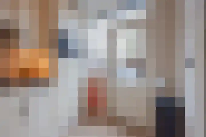 Vossendonk 22 Raamsdonksveer thumbnail 21