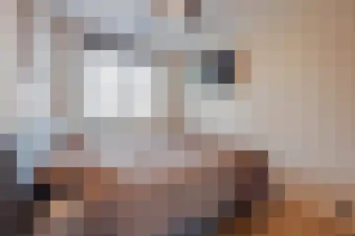 Vossendonk 22 Raamsdonksveer thumbnail 25